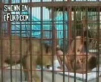Жесткий секс на кухне с горячей блондинкой